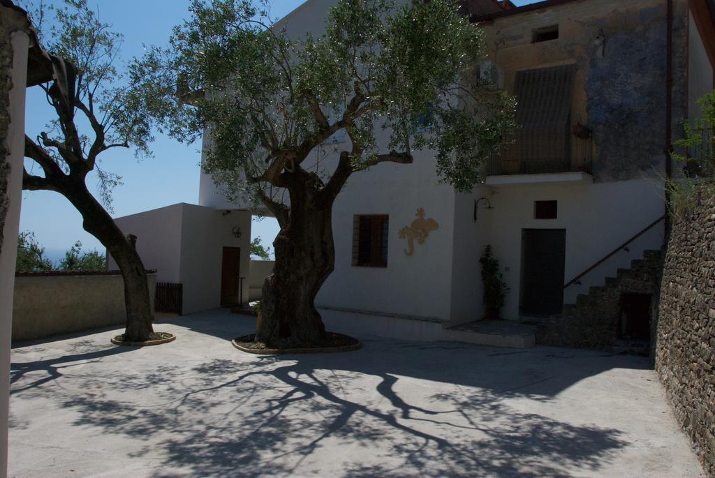 Santo Mercurio Country House 皮肖塔 外观 照片