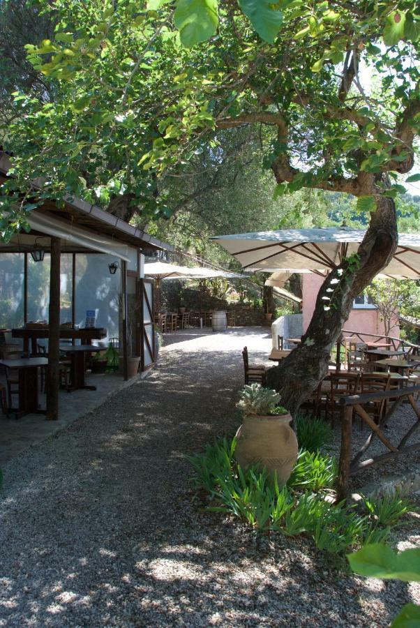 Santo Mercurio Country House 皮肖塔 外观 照片