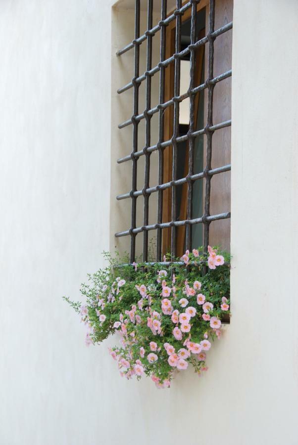 Santo Mercurio Country House 皮肖塔 外观 照片